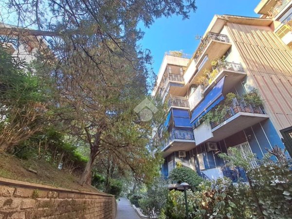 appartamento in affitto a Roma in zona Monte Sacro/Talenti