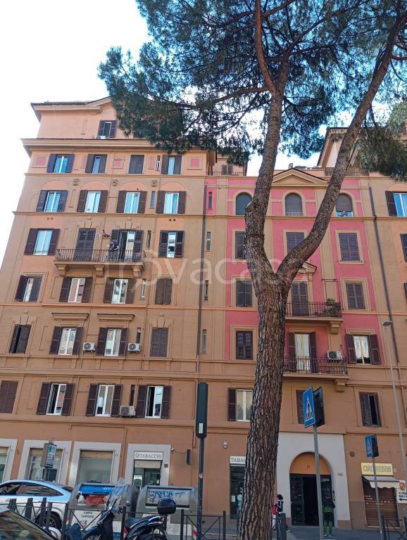 appartamento in affitto a Roma in zona Trieste