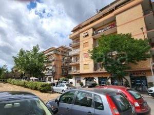 appartamento in affitto a Roma in zona Appio Claudio