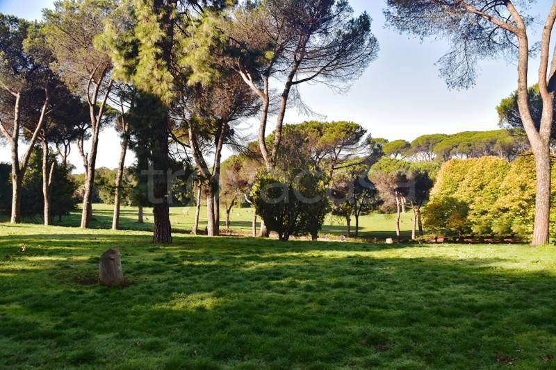 appartamento in affitto a Roma in zona Pinciano