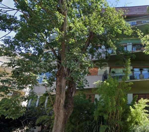 appartamento in affitto a Roma in zona Trieste
