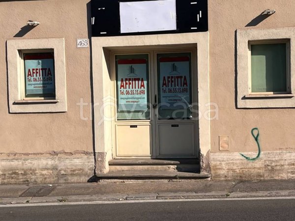 appartamento in affitto a Roma in zona Gianicolense