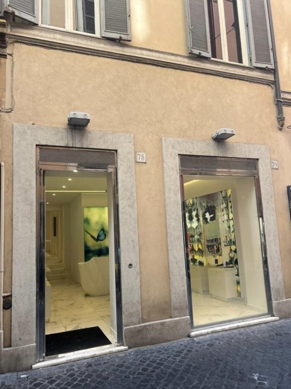 appartamento in affitto a Roma in zona Campo Marzio
