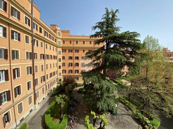 appartamento in affitto a Roma in zona Flaminio