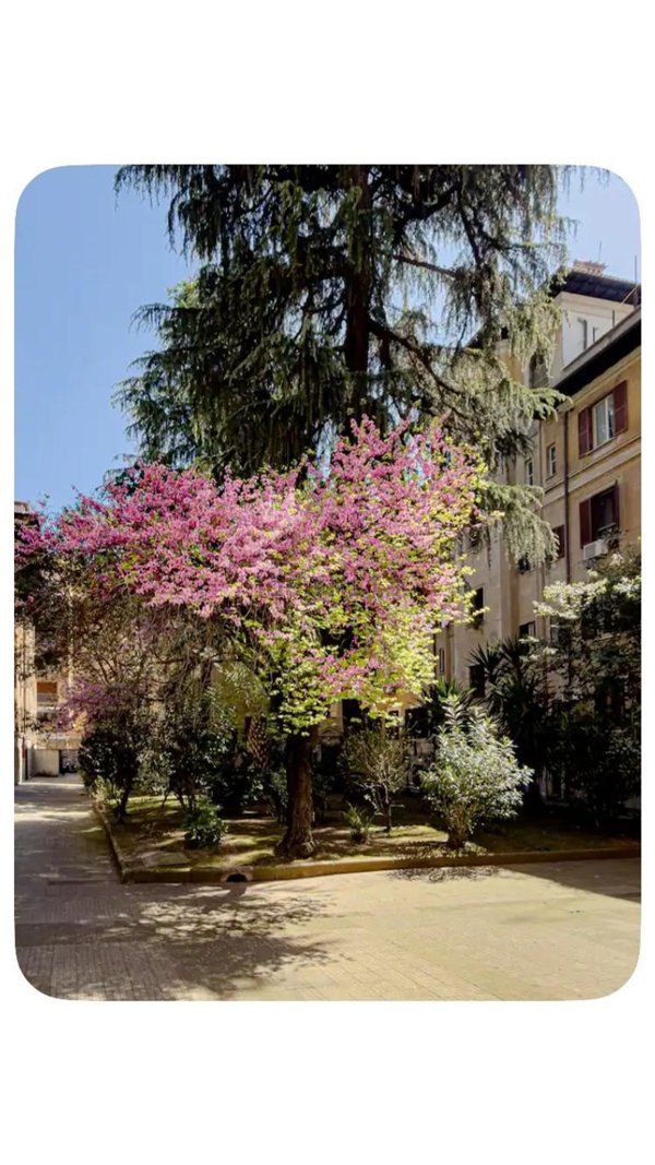 appartamento in affitto a Roma in zona Portuense