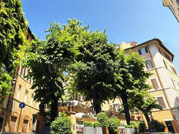 appartamento in affitto a Roma in zona Flaminio