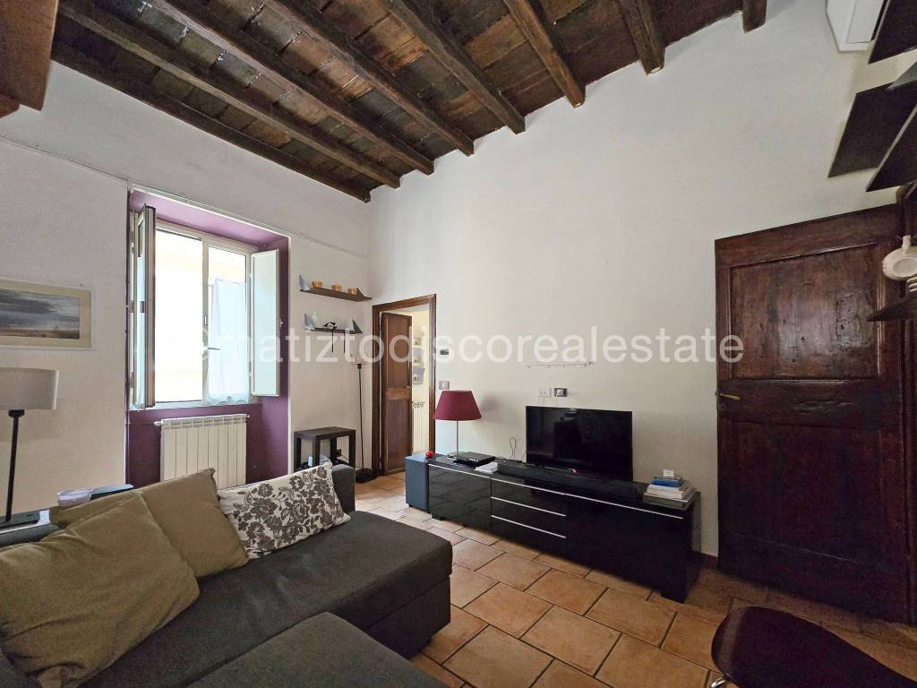 appartamento in affitto a Roma in zona Trastevere