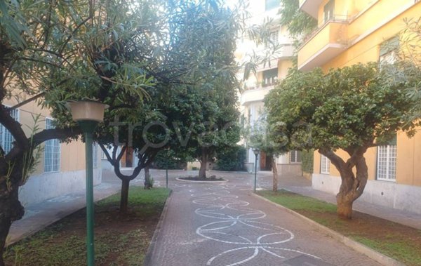 appartamento in affitto a Roma in zona Parioli