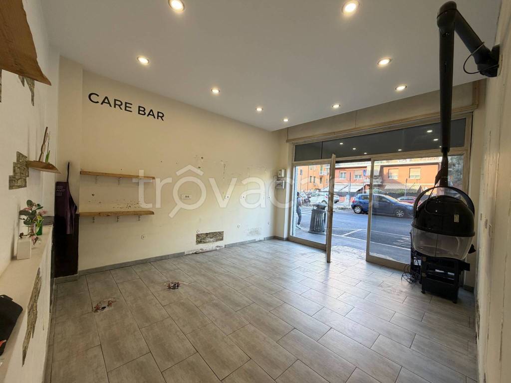 appartamento in affitto a Roma in zona Monte Sacro/Talenti