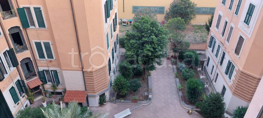 appartamento in affitto a Roma in zona Tuscolano
