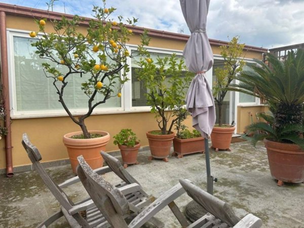 appartamento in affitto a Roma in zona Centro Storico