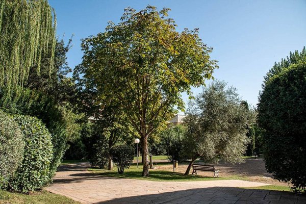 appartamento in affitto a Roma in zona Della Vittoria