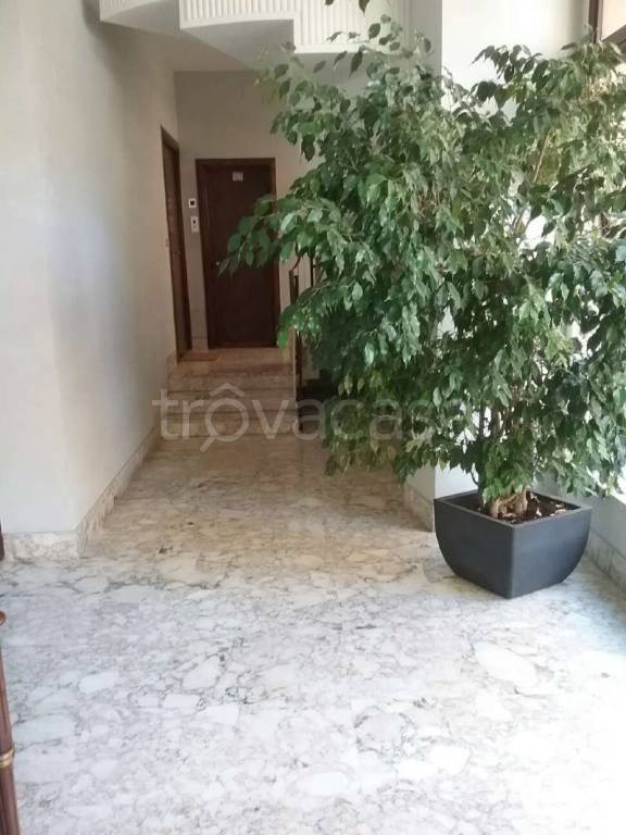 appartamento in affitto a Roma in zona Parioli