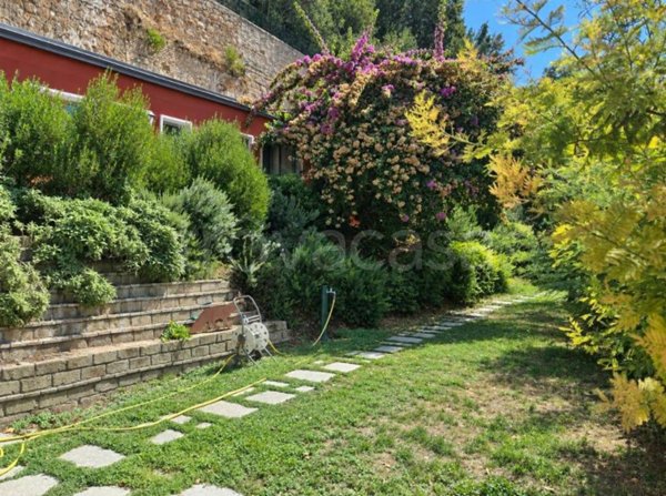 casa indipendente in affitto a Roma in zona Flaminio