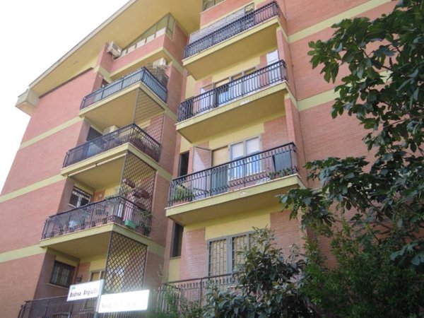 appartamento in affitto a Roma in zona Trionfale
