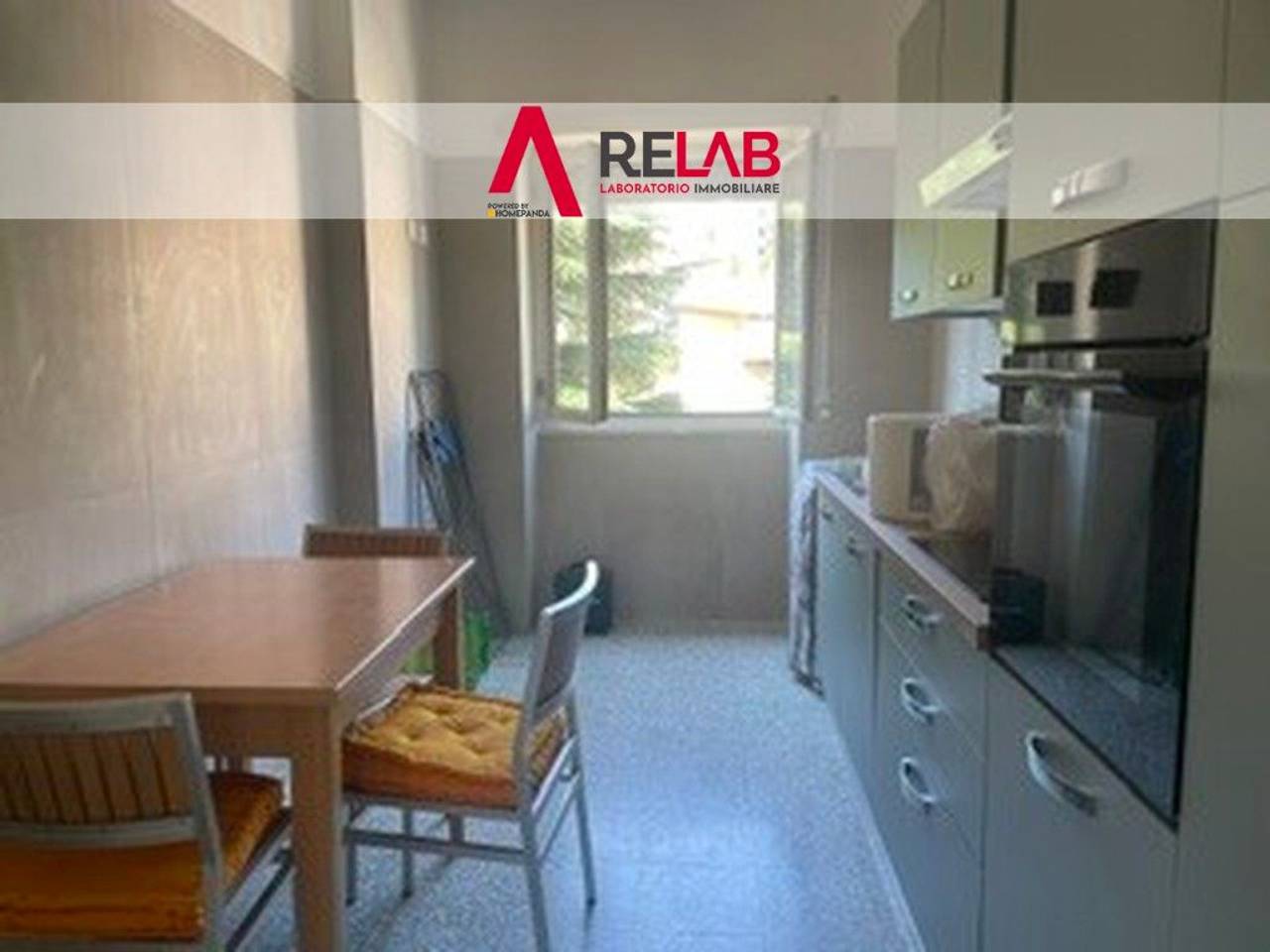 appartamento in affitto a Roma in zona Monte Sacro/Talenti