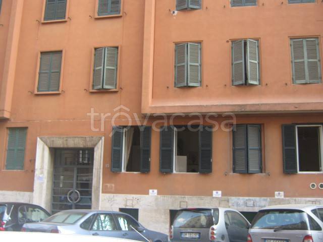 appartamento in affitto a Roma in zona Flaminio