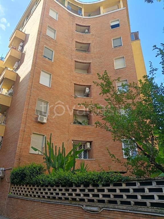 appartamento in affitto a Roma in zona Tuscolano