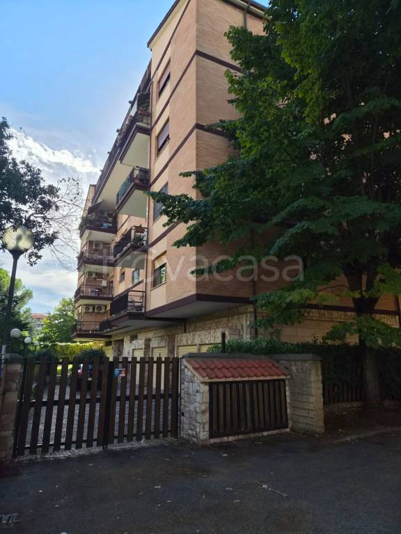 appartamento in affitto a Roma in zona Vigna Murata