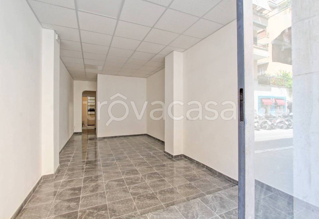appartamento in affitto a Roma in zona Parioli