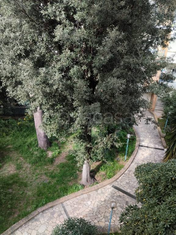 appartamento in affitto a Roma in zona Primavalle