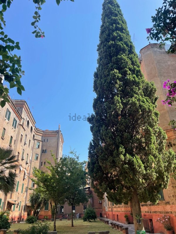 appartamento in affitto a Roma in zona Rione Prati