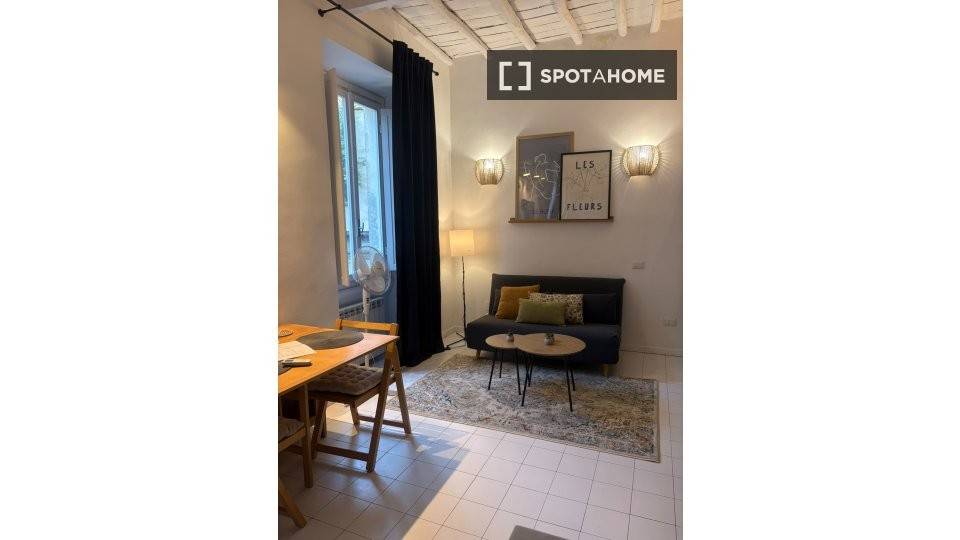 appartamento in affitto a Roma in zona Trastevere