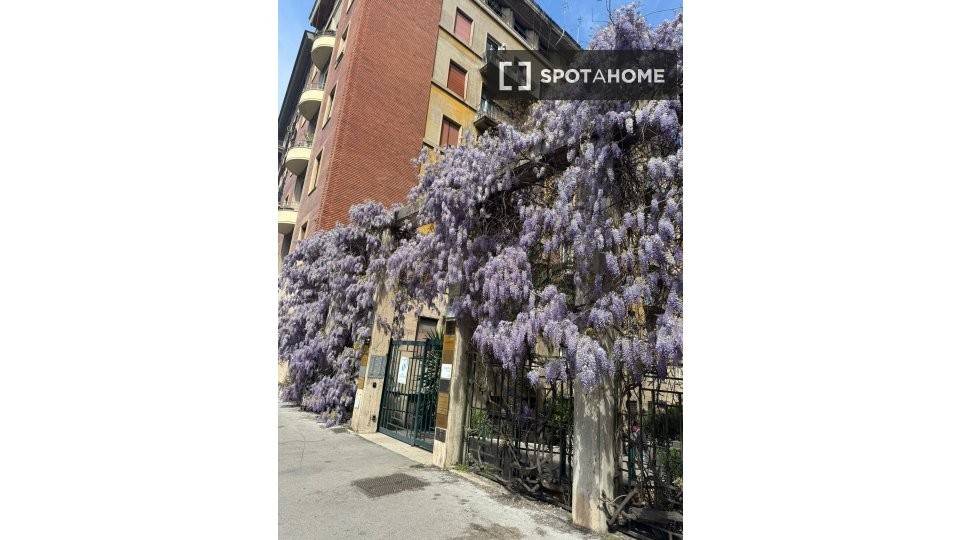 appartamento in affitto a Roma in zona Della Vittoria