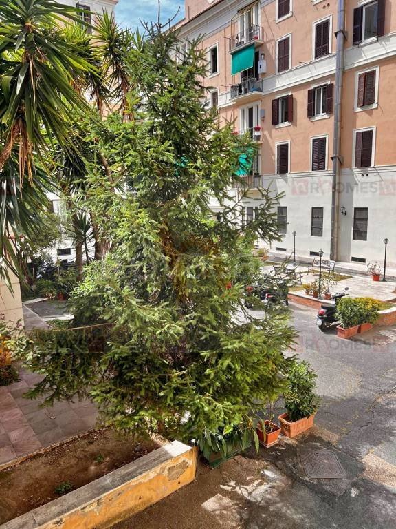 appartamento in affitto a Roma in zona Appio Claudio