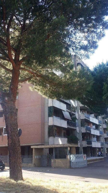 appartamento in affitto a Roma in zona Torrino