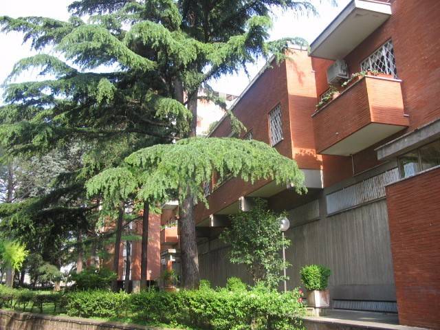 appartamento in affitto a Roma in zona Trieste