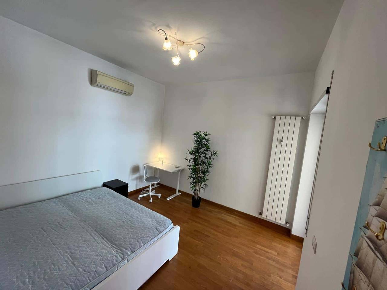 appartamento in affitto a Roma in zona Trionfale