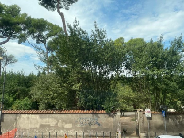 casa indipendente in affitto a Roma in zona Parioli