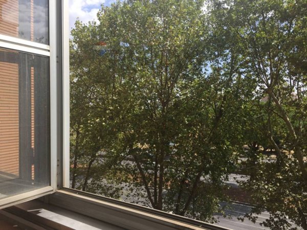 appartamento in affitto a Roma in zona EUR