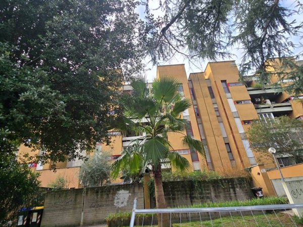 appartamento in affitto a Roma in zona Ponte Mammolo