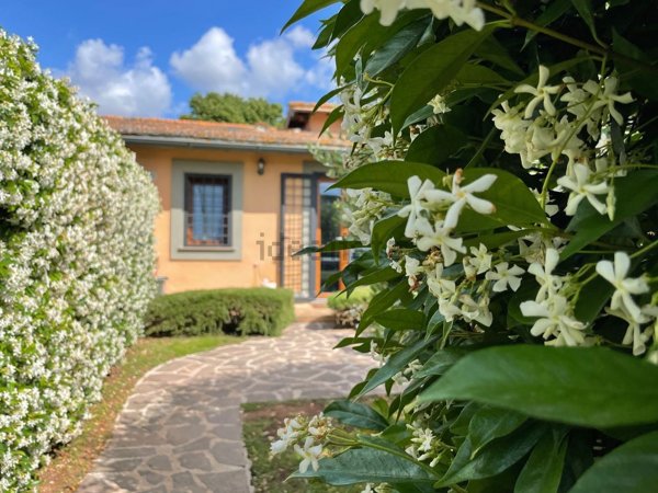 appartamento in affitto a Roma in zona Giuliano Dalmata