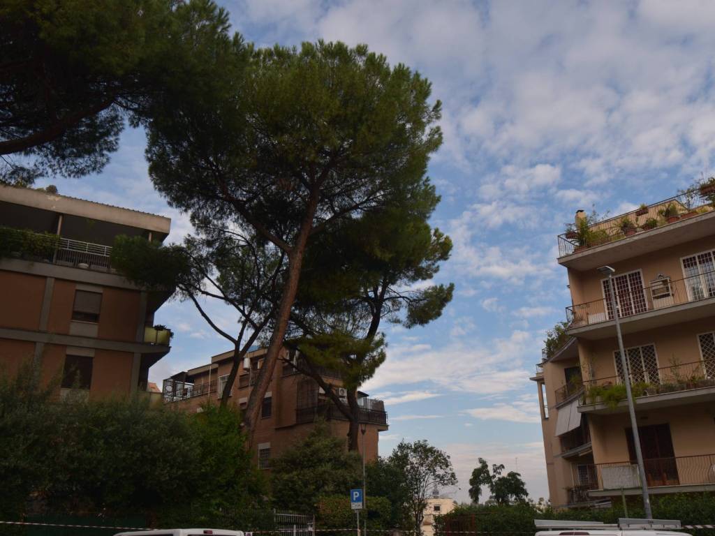 appartamento in affitto a Roma in zona Tor di Quinto