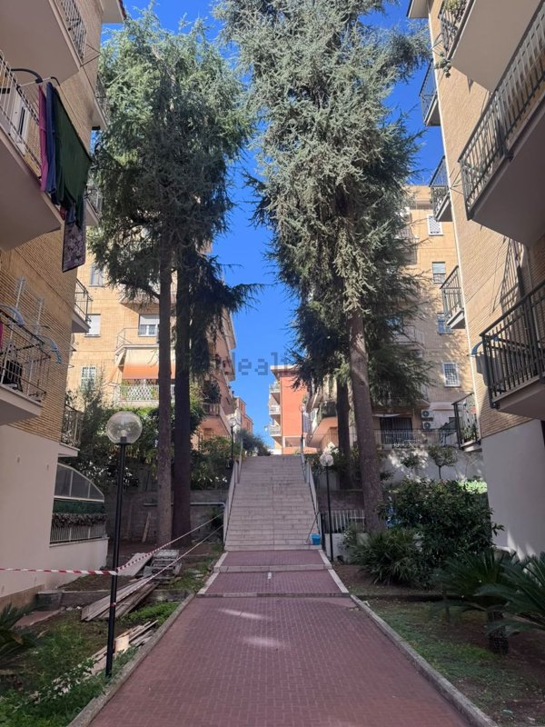 appartamento in affitto a Roma in zona Primavalle