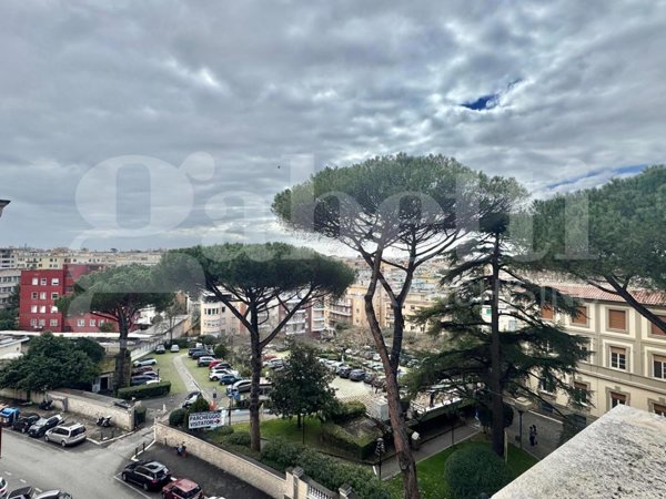 immagine annuncio 0 di 10
