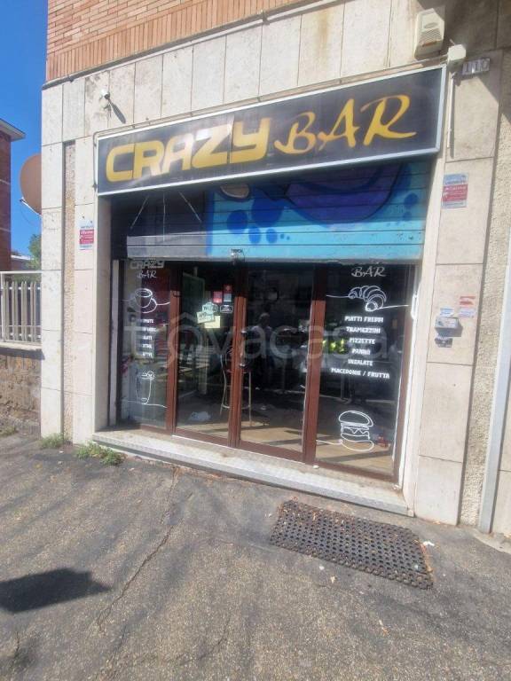 appartamento in affitto a Roma in zona Torrevecchia