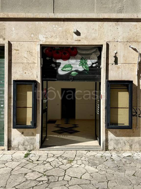 appartamento in affitto a Roma in zona Trieste