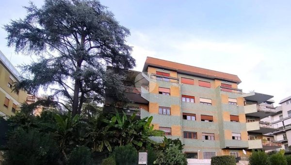 appartamento in affitto a Roma in zona EUR