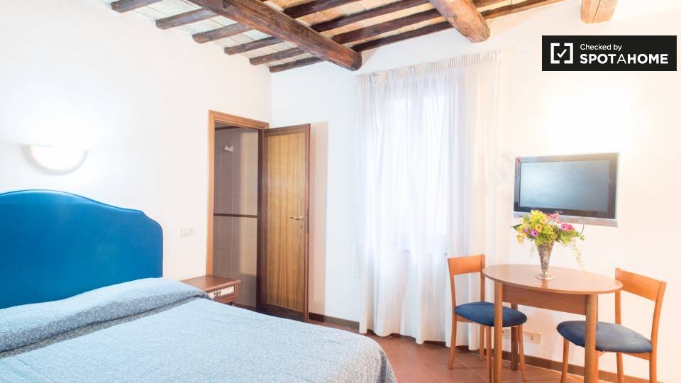 appartamento in affitto a Roma in zona Trevi-Colonna