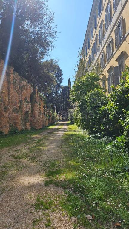 appartamento in affitto a Roma in zona Ludovisi/Sallustiano