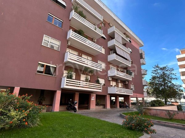 appartamento in affitto a Roma in zona Vigna Murata