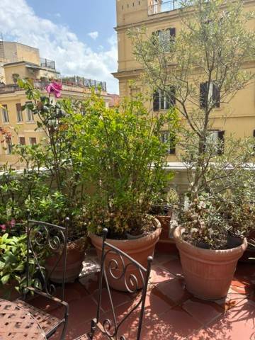 appartamento in affitto a Roma in zona Trieste