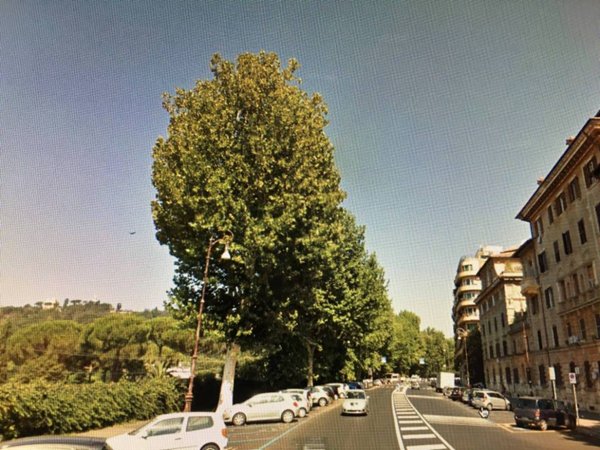 appartamento in affitto a Roma in zona Flaminio