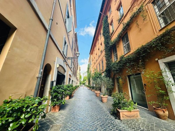 appartamento in affitto a Roma in zona Campo Marzio