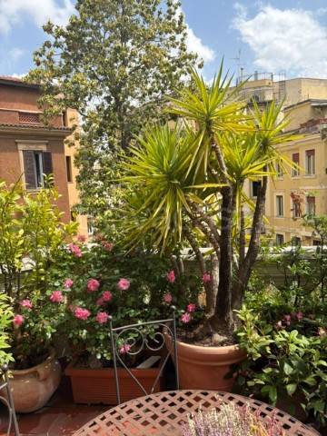 appartamento in affitto a Roma in zona Parioli