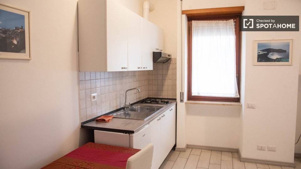 appartamento in affitto a Roma in zona Trionfale